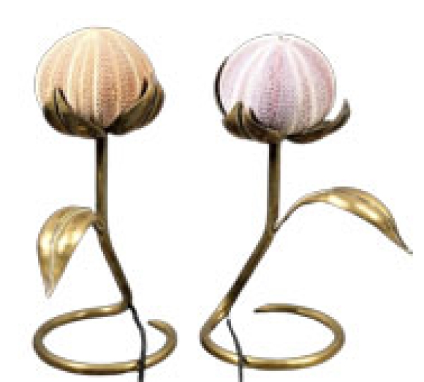 MOD 1784 Paire de lampes organiques en bronze, laiton et test d'oursins