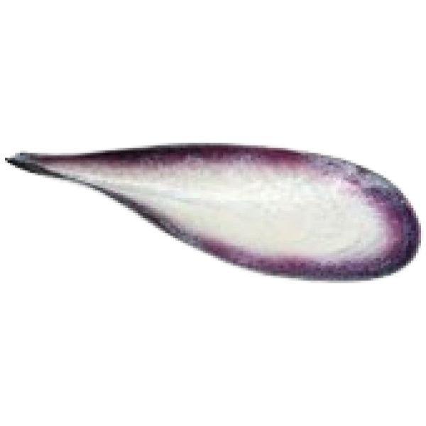 MOD 1083 Pol Chambost, grand plat en ceramique vers 1950.